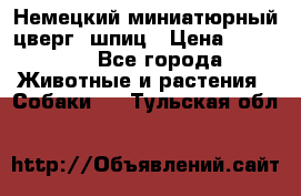 Немецкий миниатюрный(цверг) шпиц › Цена ­ 50 000 - Все города Животные и растения » Собаки   . Тульская обл.